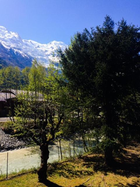Studio Lumineux Avec Vue Sur Le Massif Du Mont-Blanc Chamonix Exterior photo
